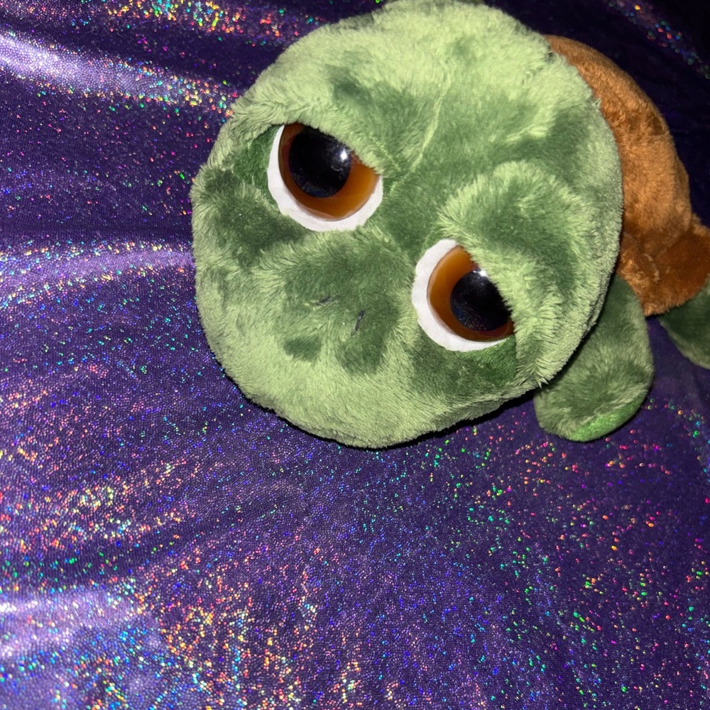 Shecky Turtle By RUSS - Picture 5 of 8